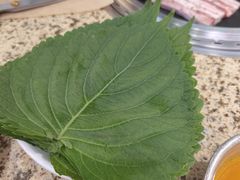 -安又胖韩国烤肉(泰达永旺店)