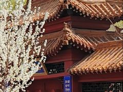 -桃花堤公园