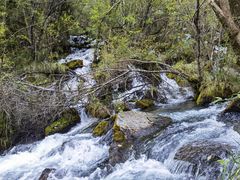 -叠溪松坪沟景区
