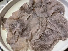 极品毛肚-园里火锅(仁和新城店)