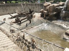 -西安秦岭野生动物园