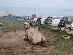 -莫日格勒旅游景区
