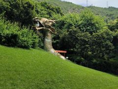 -青青世界