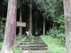 -武陵山森林公园