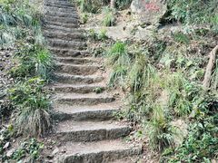 -青龙山国家森林公园