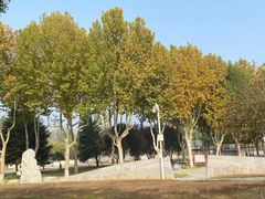-石家庄市植物园