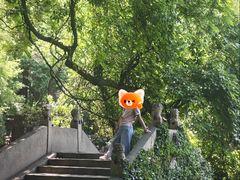 -绮园景区