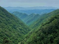 -东天目山风景区
