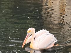 -昆明动物园