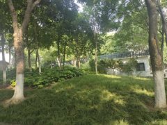 -后襄河公园