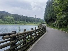 -武陵山森林公园