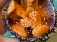 -鲜得莱渔港·小平岛海胆馆(七贤岭店)