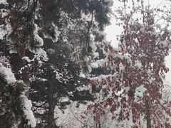 -长春市南湖公园