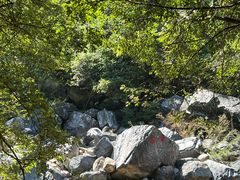 -石台牯牛降景区