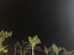 -金鸡岭桥头公园