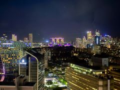 -新加坡乌节希尔顿酒店 (SG Clean)