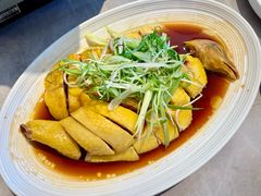 葱油清远走地鸡-陶兰居·手工点心·粤菜(圆融时代广场店)