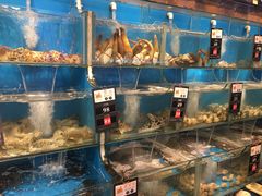 水产区-苏大嘴海鲜牧场(奥林匹克店)