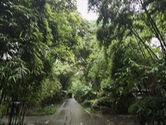 -望江楼公园