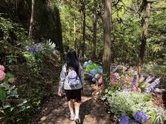 -龙湾潭国家森林公园