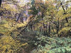 -北京上方山国家森林公园