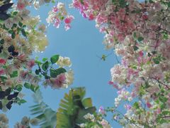 -深圳国际园林花卉博览园