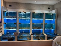 -赶海部落海鲜城(海阳路店)