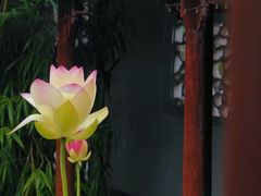 -南园(太仓市)