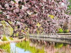 -元大都城垣遗址公园