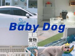 -BABYDOG宝贝狗宠物乐园(欧洲城店)