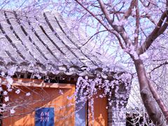 -三里河公园