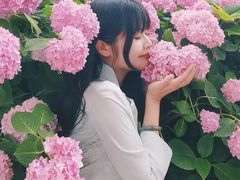 -三圣花乡旅游区