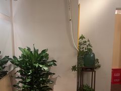 -青曼SPA·按摩·采耳·足道(龙之梦店)