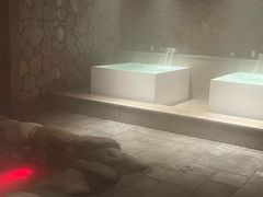 -漢頓温泉度假酒店