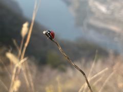 -龙云山风景区-鹿皮关长城