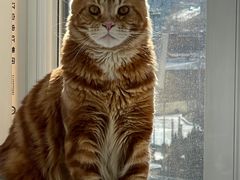 -纳吉亚猫专科动物医院博雅分院