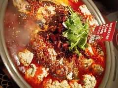 -师烤·豆花烤鱼(广州荔湾扬韬广场店)