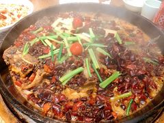 -老板恋上鱼(恒隆广场店)