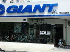 -GIANT捷安特自行车专卖店(金桥台儿庄路店)