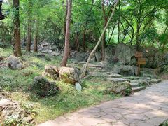-玉女潭景区