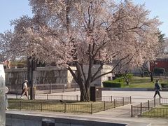 -大雁塔文化休闲景区-北广场