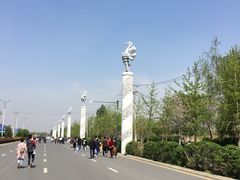 -丁香湖公园
