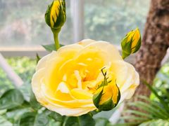 -昆明市金殿名胜区