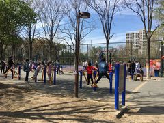 -回龙观体育文化公园