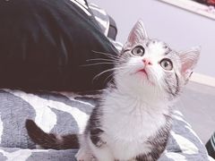 -美联众合24小时·皮肤科·外科·全科诊疗中心(华苑分院)