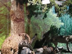 -重庆中国三峡博物馆(重庆博物馆)