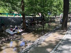 -白水寺森林公园