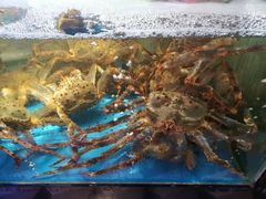 -蟹之国·精品蟹料理(极地店)