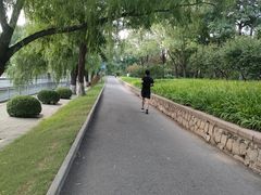 -元大都城垣遗址公园