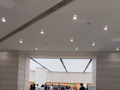 -Apple零售店(济南恒隆广场店)